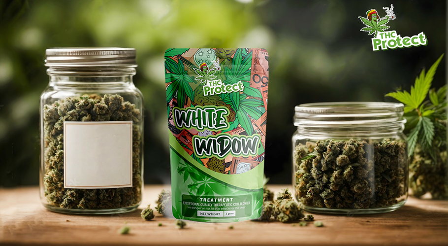 White Widow CBD: Това ли е най-популярното CBD цвете?