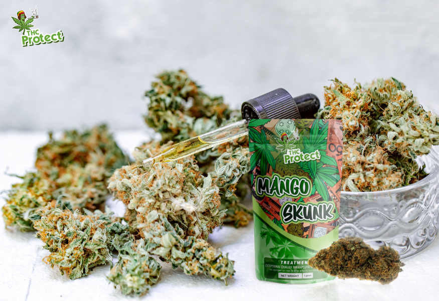 Descubra a potência excepcional da flor Mango Skunk CBD